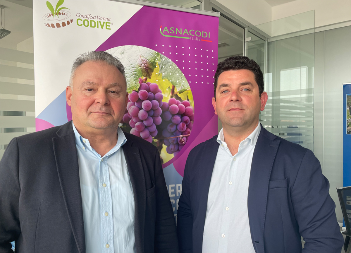 Da sinistra: il direttore di CODIVE Michele Marani e il presidente di CODIVE Davide Ronca